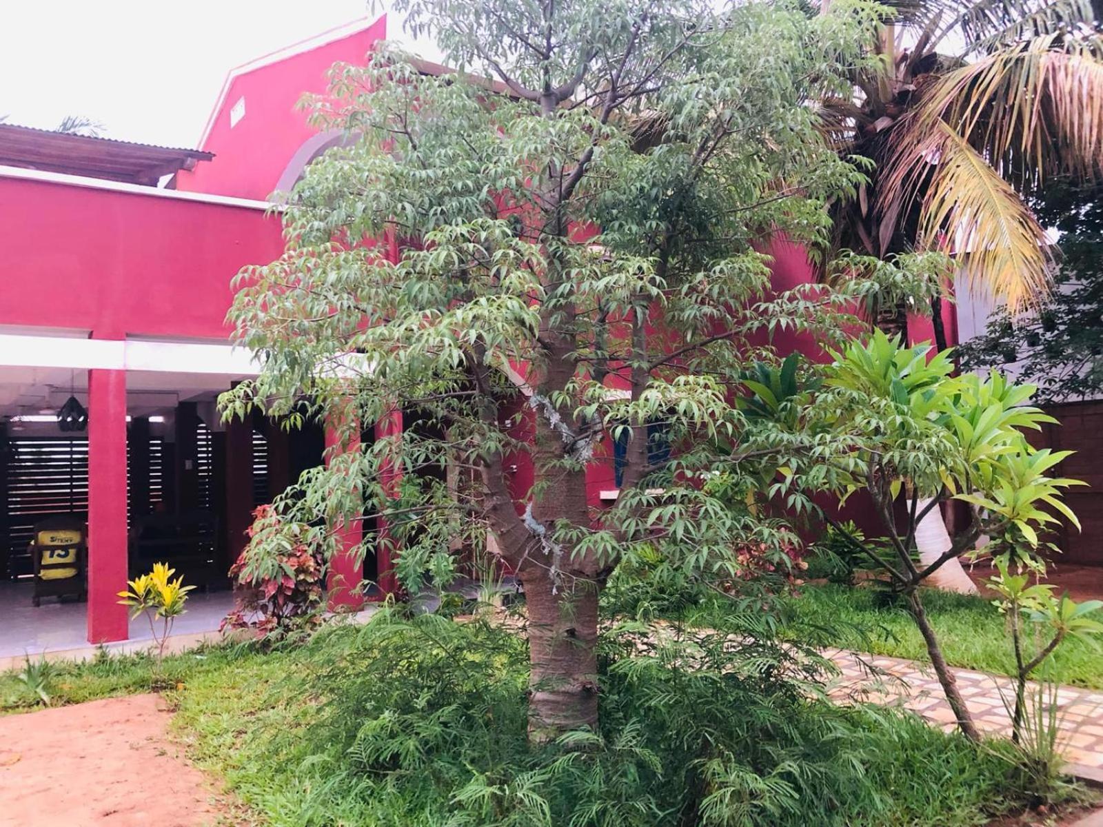 Bohobe Naboty Bed and Breakfast Toliara Buitenkant foto