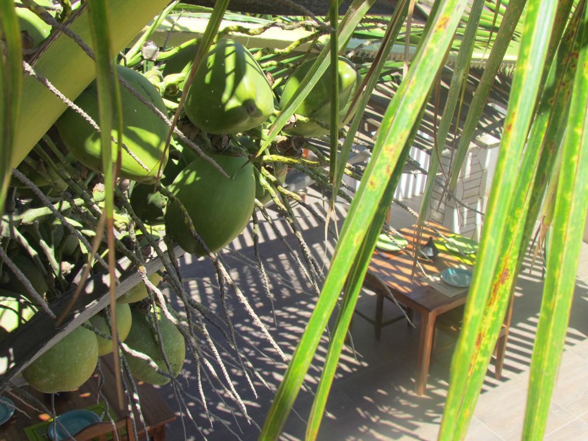 Bohobe Naboty Bed and Breakfast Toliara Buitenkant foto